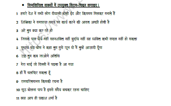 CBSE Class 8 Hindi Punctuation Worksheet Set A