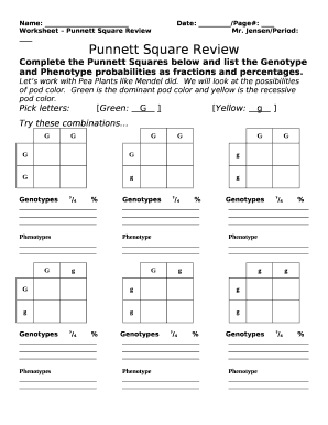 Worksheet Punnett Square ReviewMr Doc Template | pdfFiller
