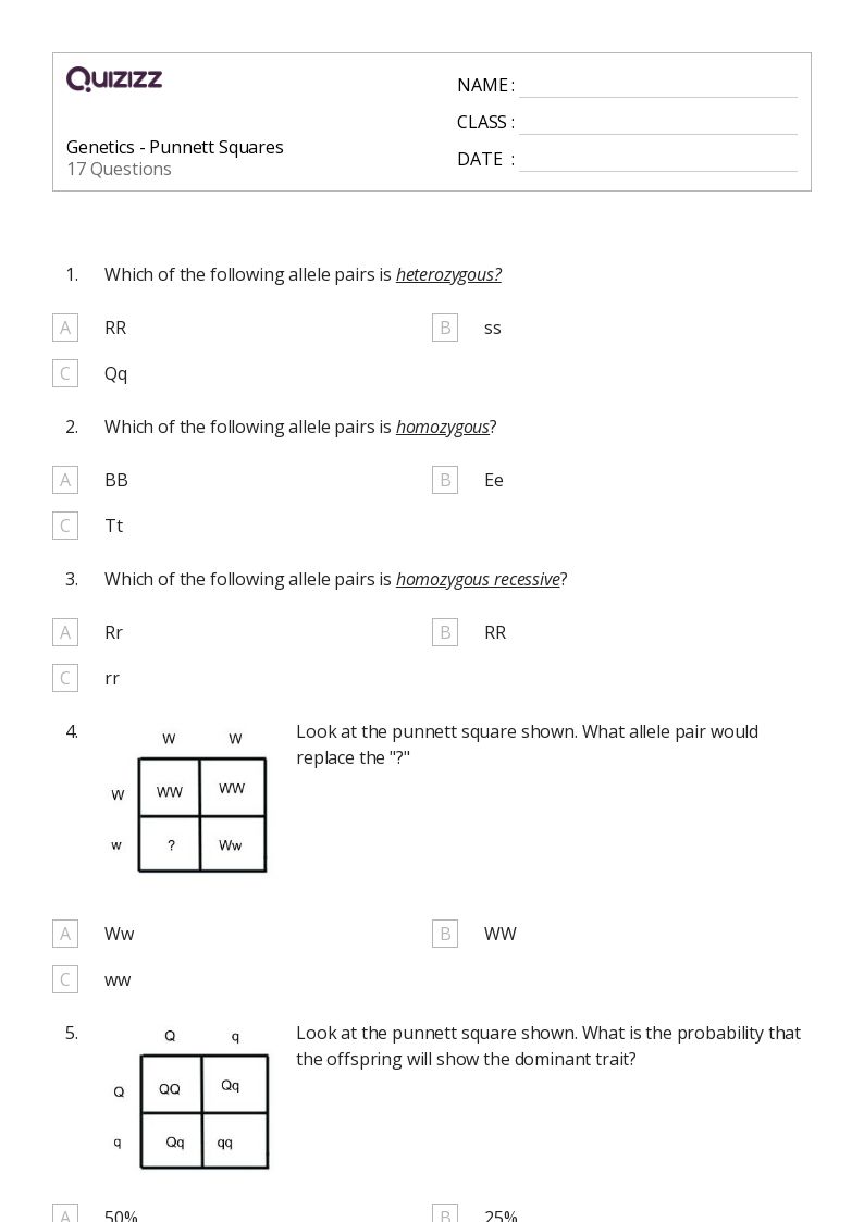 50+ punnett squares worksheets for 9th Grade on Quizizz | Free ...