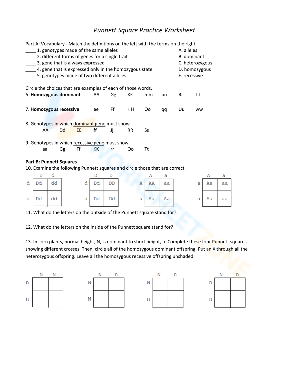 Punnett Square Worksheet Collection For Teaching &  Learning