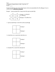 punnet squares worksheet