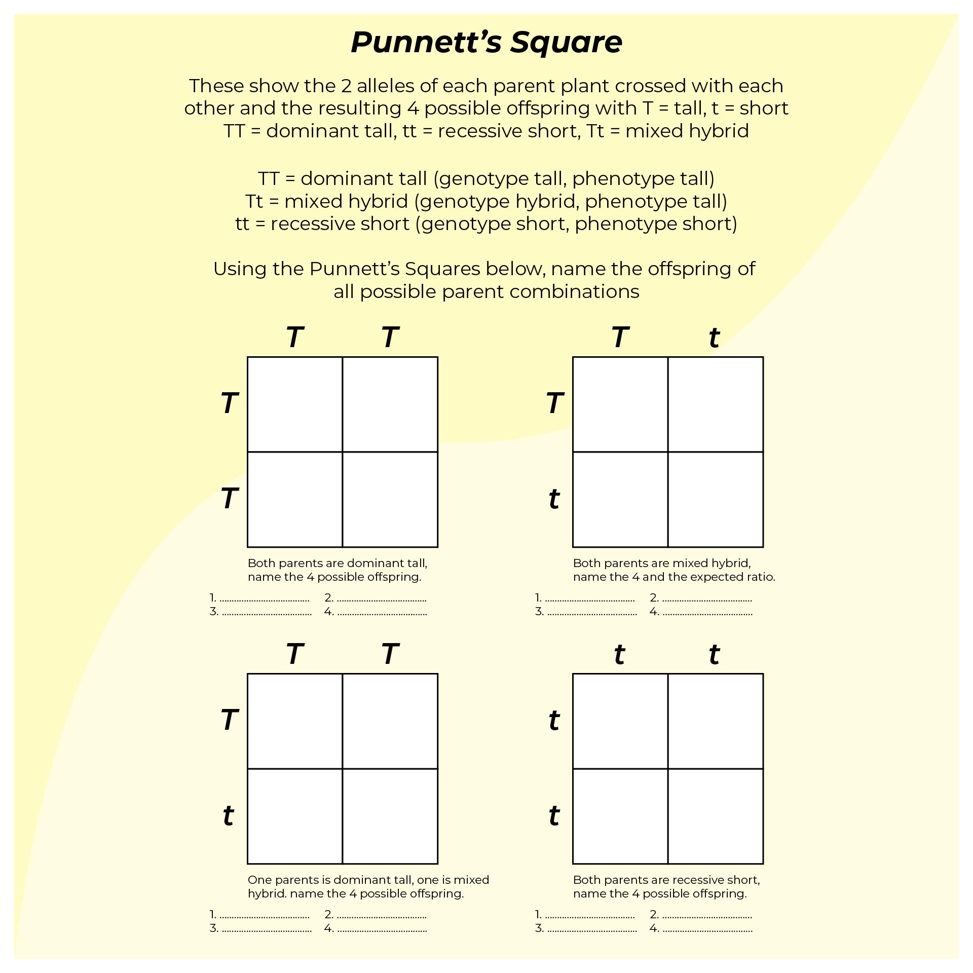 Punnett Square Worksheets - 10 Free PDF Printables | Printablee