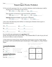 Punnett Square Practice Worksheet Edited .pdf - Name: Date ...