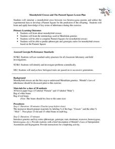 Punnett Square Practice Lesson Plans &  Worksheets