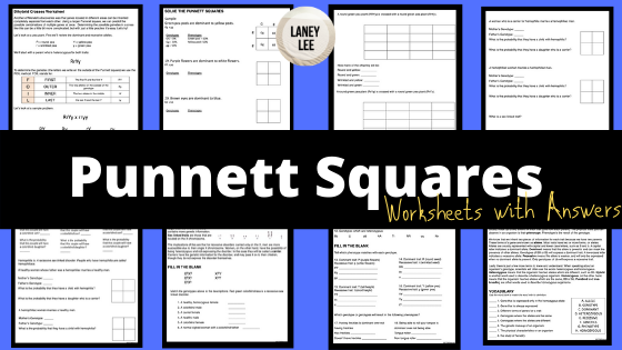Punnett Square Practice Worksheet with Answers Laney Lee Worksheets