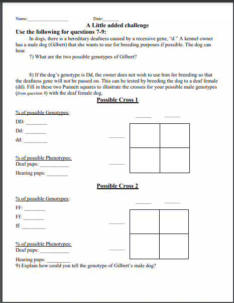 9 Hands-On Worksheet Punnett Square Worksheet - The Teach Simple Blog