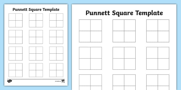 punnett square practice worksheet middle school