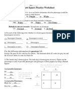 punnett square practice worksheet with answers