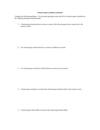 punnett square practice worksheet with answers