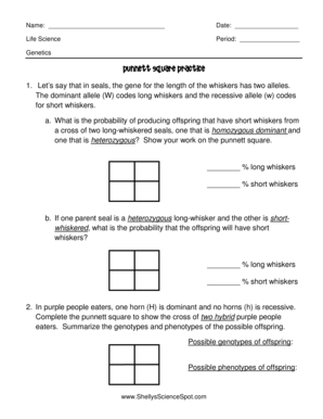 punnett square practice worksheet with answers
