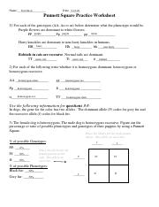 Kami Export - Tori Davis - Punnet Square Worksheet.pdf - Tori ...