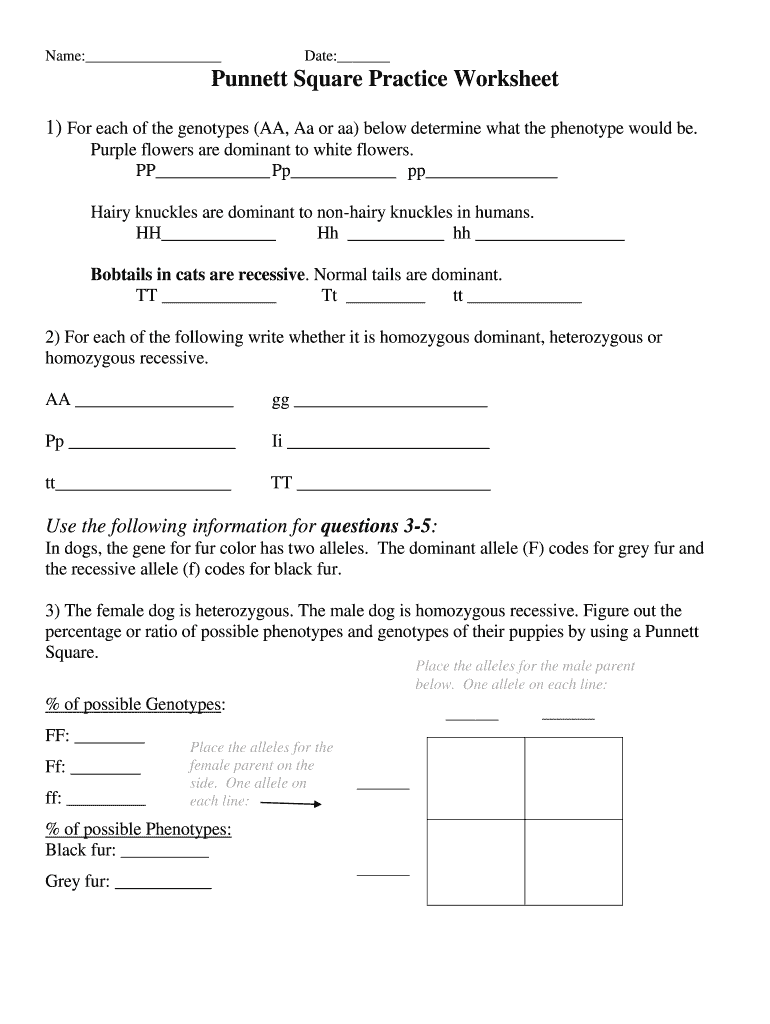 punnett square worksheet 1