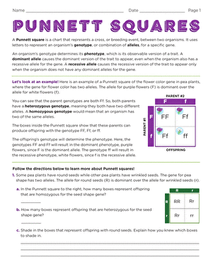 punnett square worksheet 1