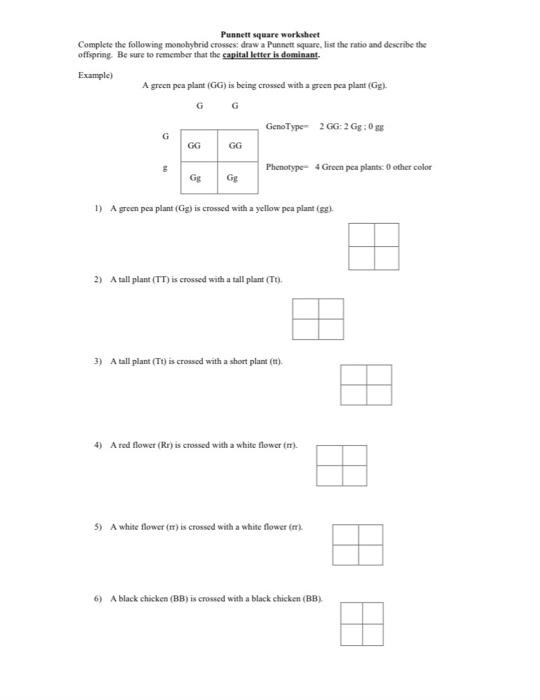 Solved Punnett square worksheet Complete the following | Chegg.com