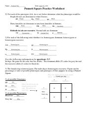 Punnett Square Practice Worksheet .pdf - Nichole Cha Name: April ...