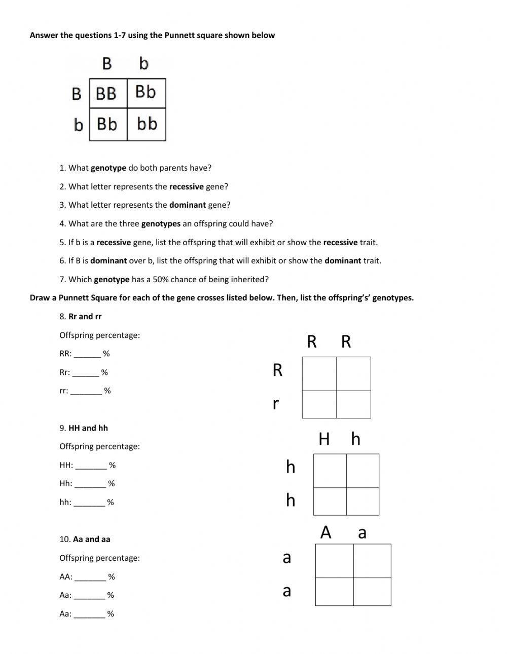punnett square worksheet answers