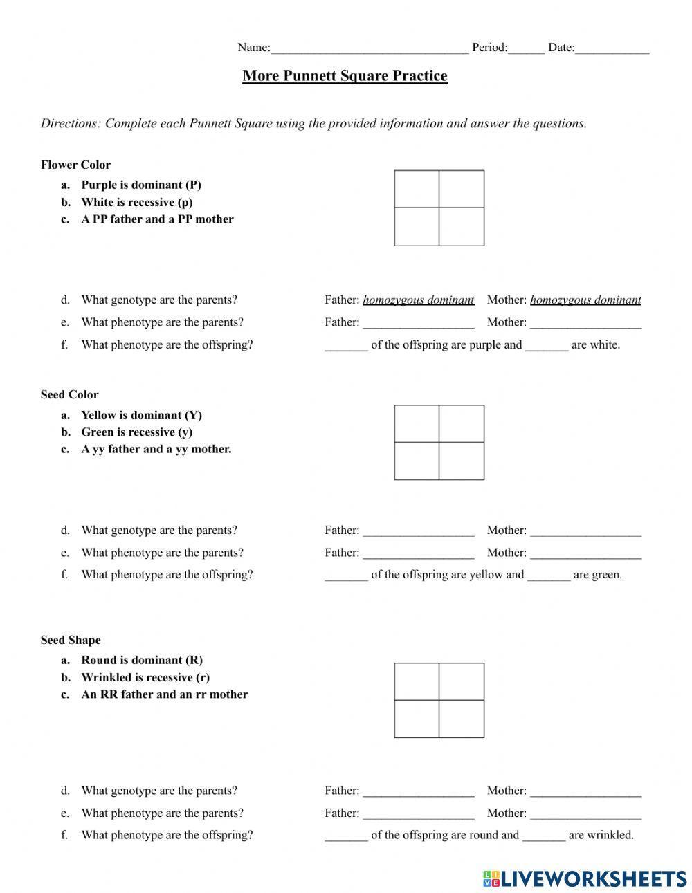 punnett square worksheet answers
