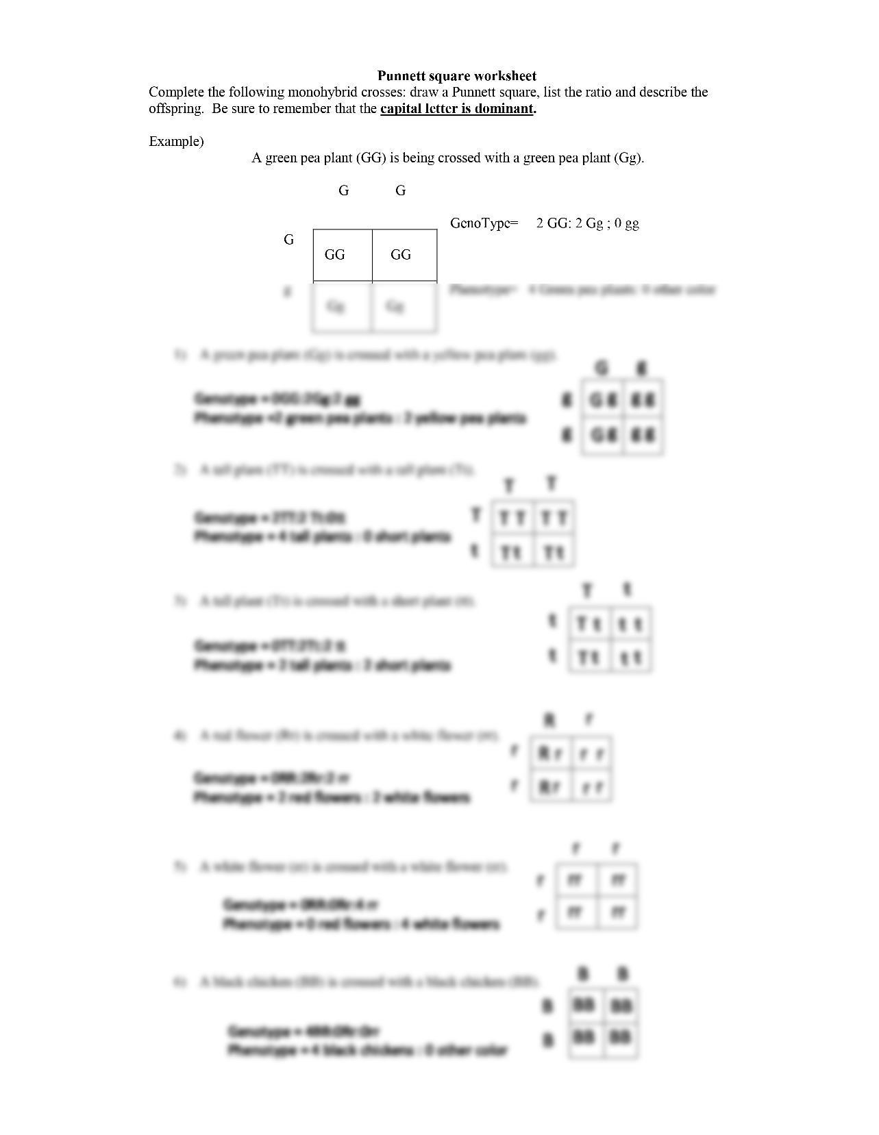 punnett square worksheet for middle school