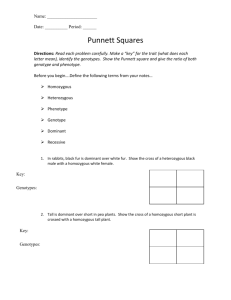 Punnett Square Worksheet