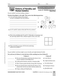 punnett square worksheet human characteristics answers