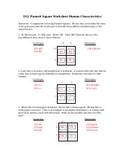 punnett square worksheet human characteristics