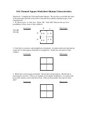 punnett square worksheet human characteristics