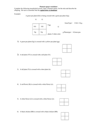 punnett square worksheet human characteristics