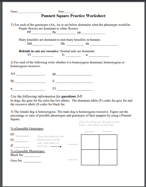 9 Hands-On Worksheet Punnett Square Worksheet - The Teach Simple Blog