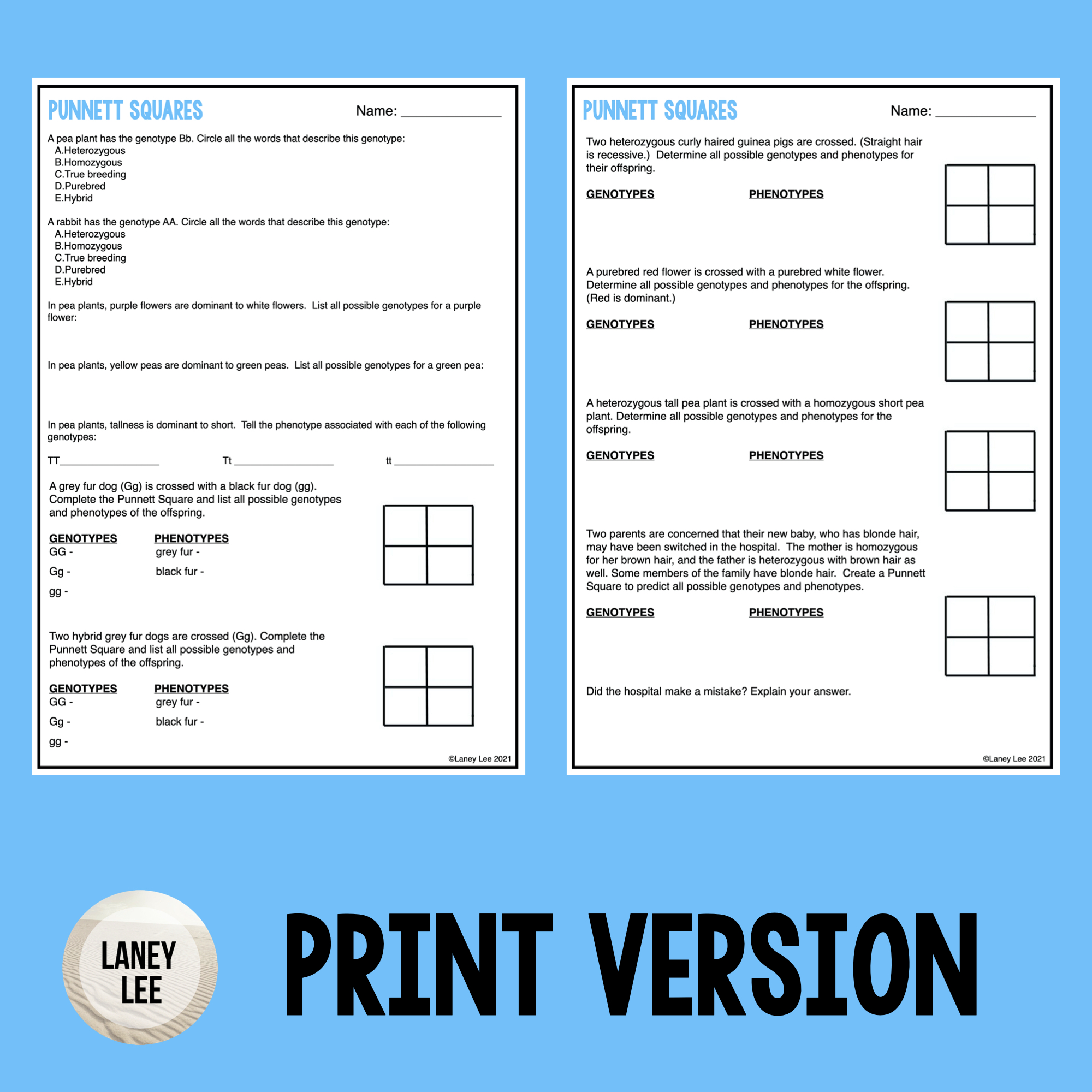 punnett square worksheet with answer key