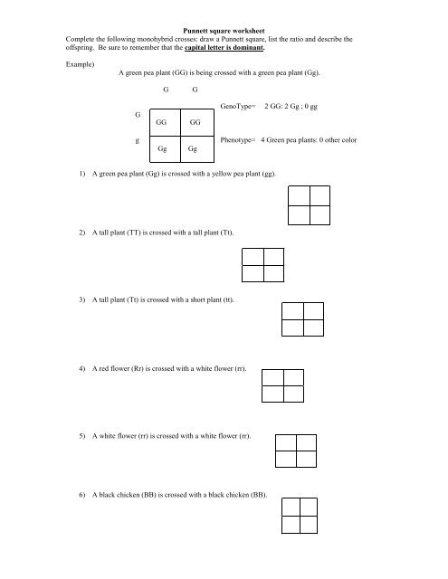 punnett square worksheet with answer key
