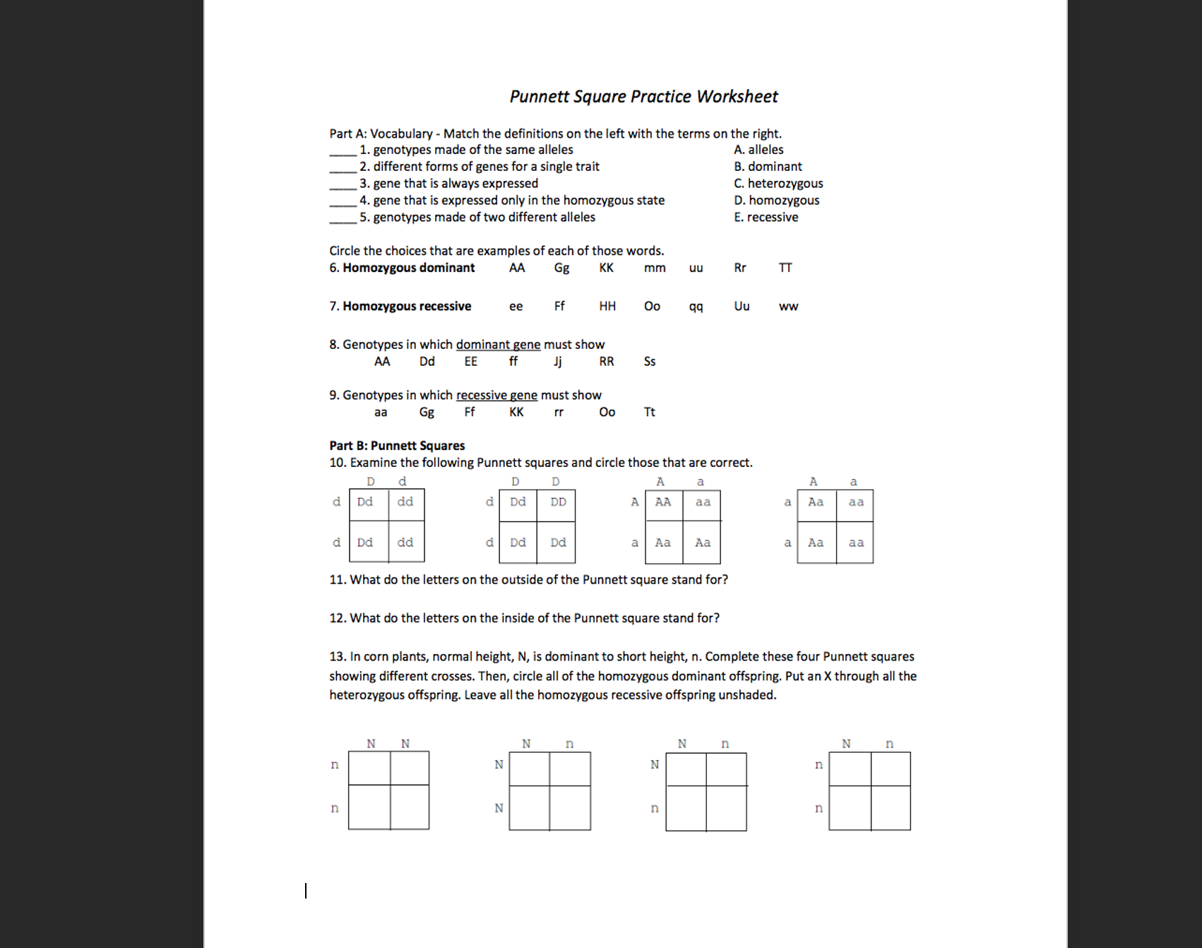 punnett square worksheet with answers