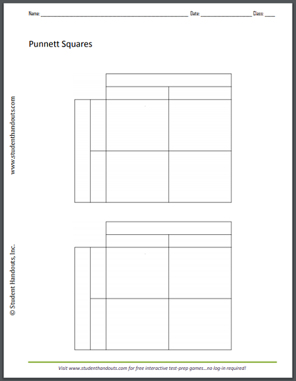 Monohybrid Cross Punnett Square Worksheet | Student Handouts