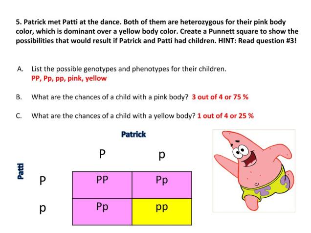 Genetics with SpongeBob - Learning how to use Punnett Squares ...