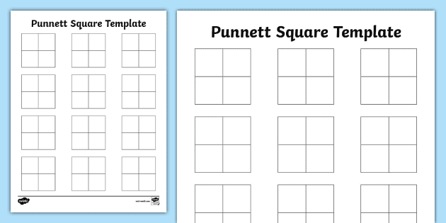 Blank Punnett Square Template (teacher made) - Twinkl