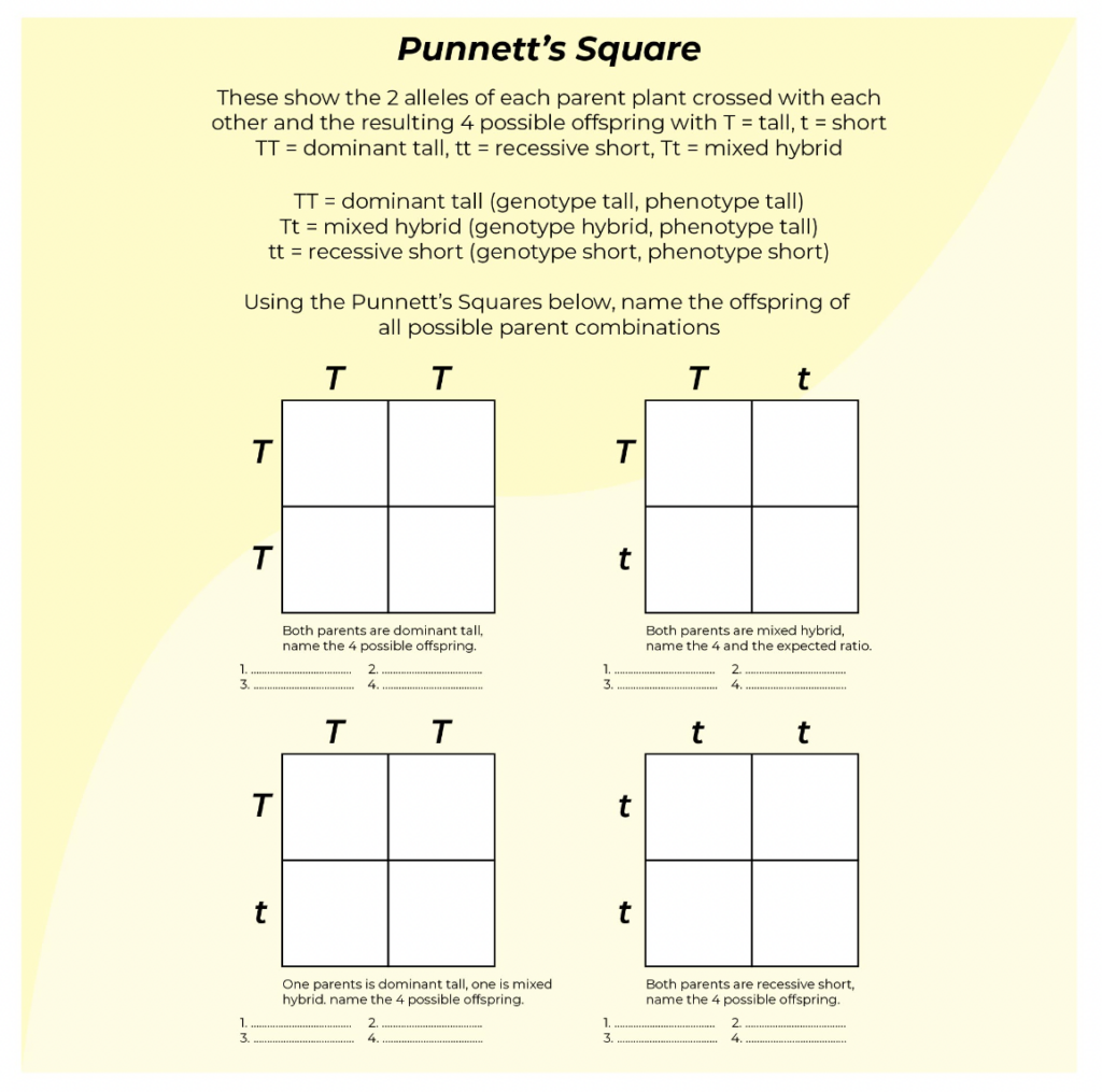 9 HandsOn Worksheet Square Worksheet The Teach Simple Blog