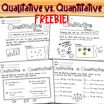 Qualitative vs quantitative worksheet | TPT