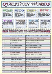 636 Wh question English ESL worksheets pdf &  doc