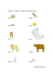 English worksheets: Quick as a Cricket