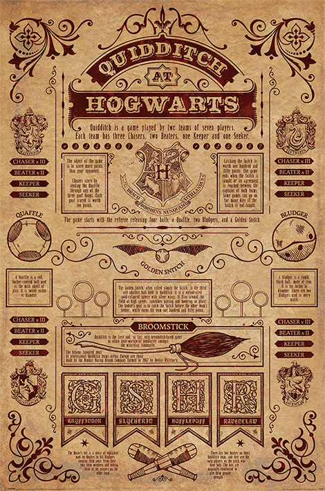 Plakat Harry Potter - Quidditch | Poster an der Wand | 3+1 GRATIS |  Europosters