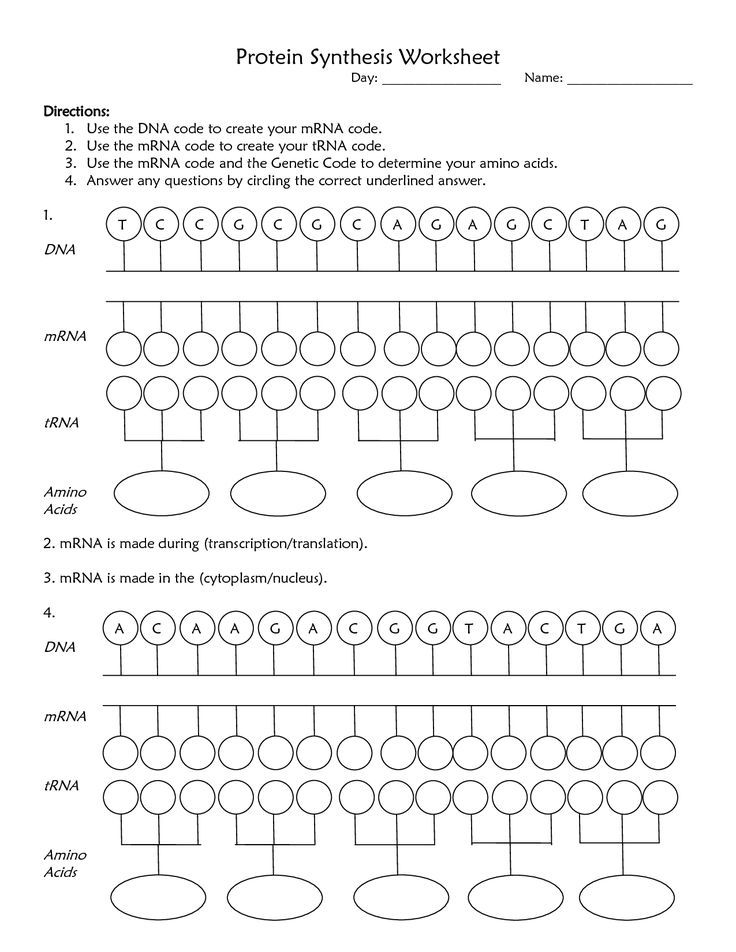 quiz in code worksheet answers