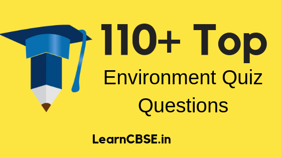 quiz questions upto class 8
