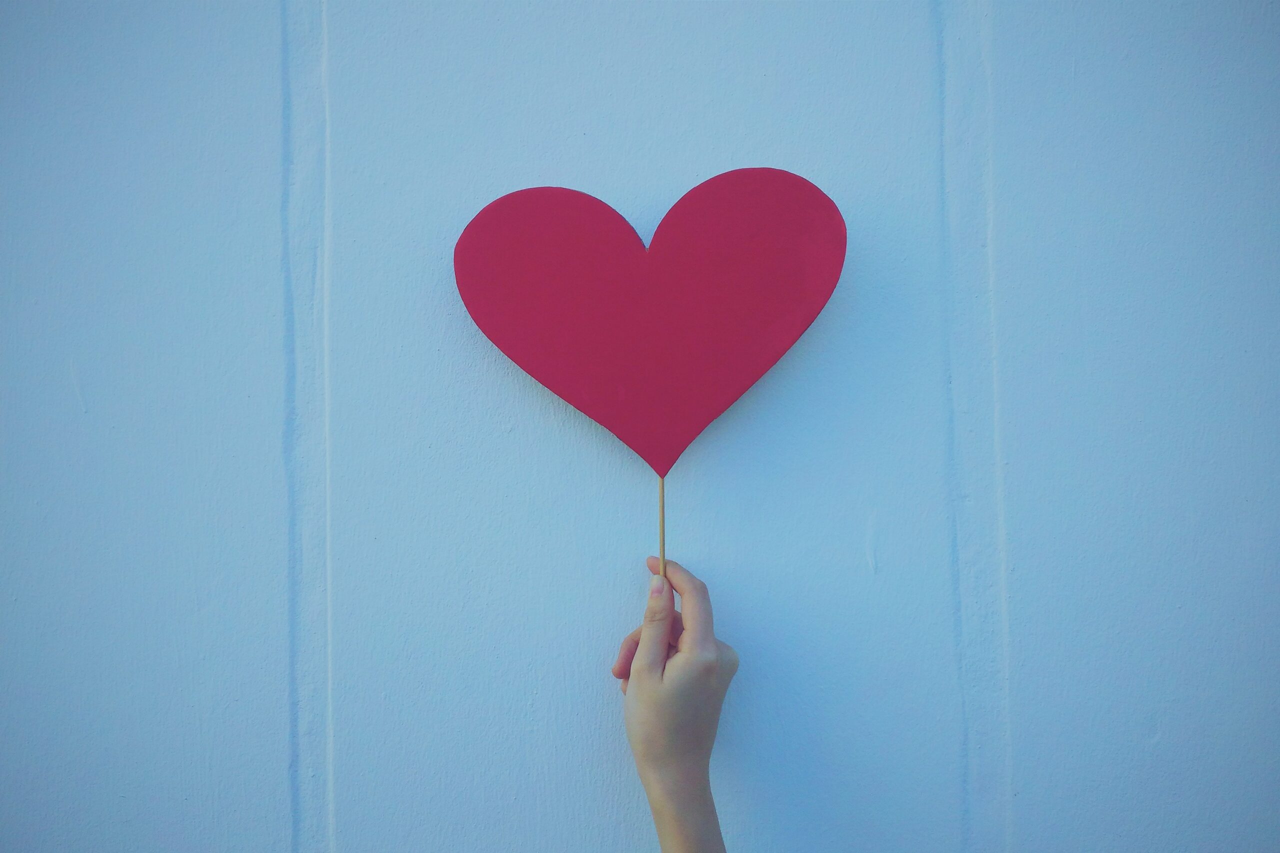Love” and Its Indefinite Quotation Marks - The White Rabbits