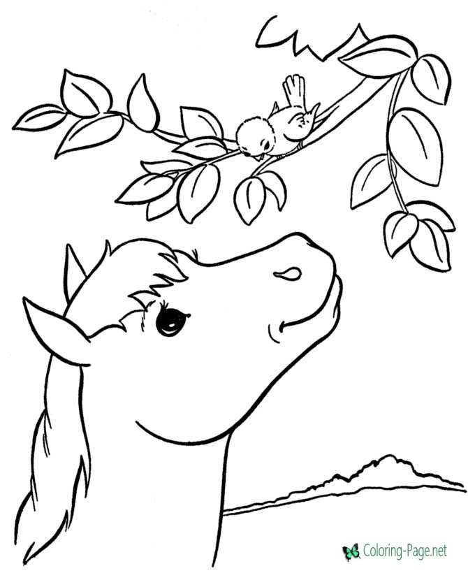 race horse coloring pages printable free