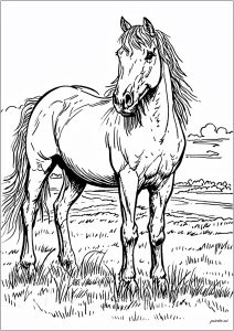 race horse coloring pages printable free
