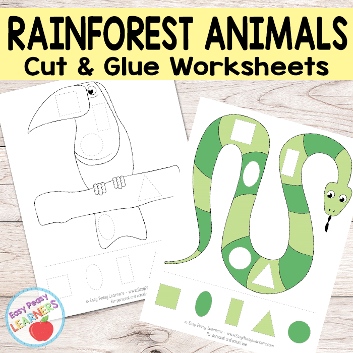 rainforest worksheet for kids