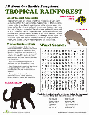 Tropical Rainforest | Worksheet 