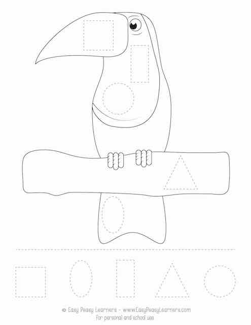 rainforest worksheet for preschool