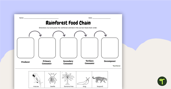 Rainforest Food Chain - Cut and Paste Worksheet | Teach Starter