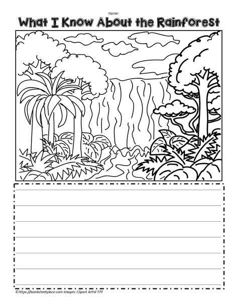 Rainforest Summative Learning Activity Worksheets