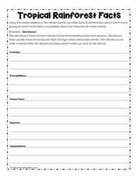 Tropical Rainforest Worksheets